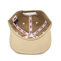 Fuji Retro Dad Hat