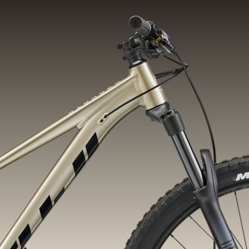 最高の品質 Bikes Fuji – Bighorn USA BikeCo by Powered スキー