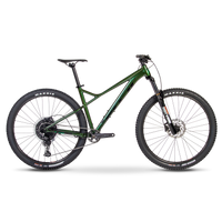 Bighorn 29 1.5