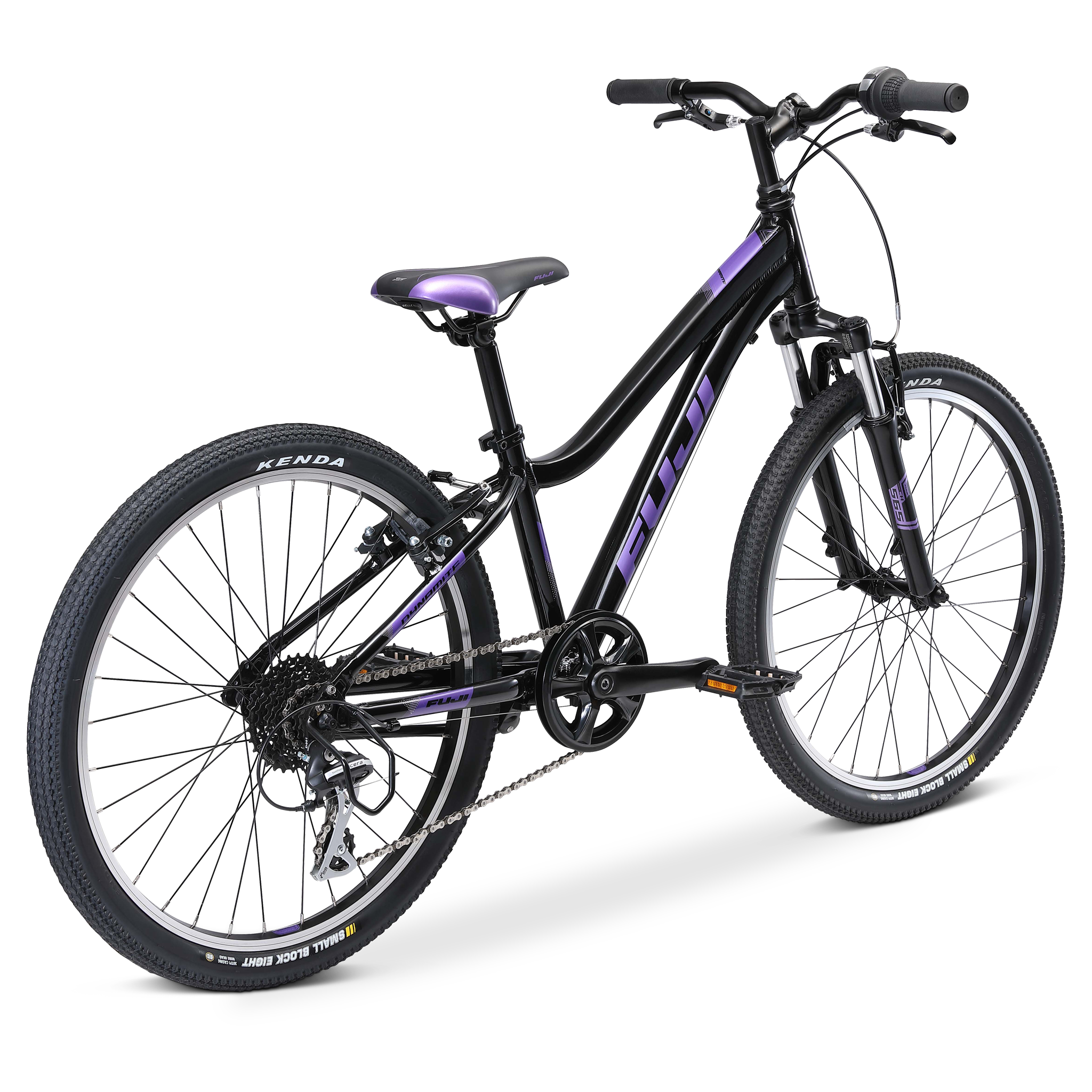Fuji dynamite 24 top pro disc review