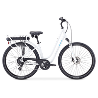 E-Crosstown LS