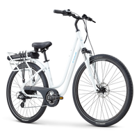 E-Crosstown LS